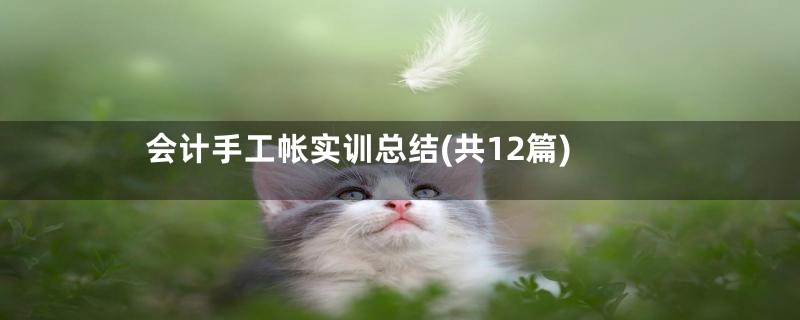 会计手工帐实训总结(共12篇)