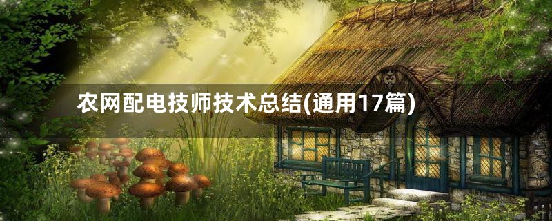 农网配电技师技术总结(通用17篇)