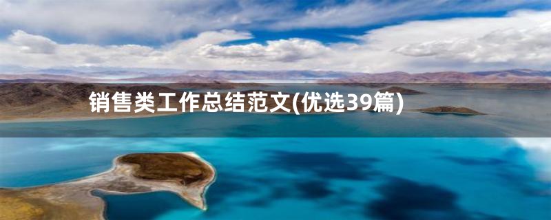 销售类工作总结范文(优选39篇)