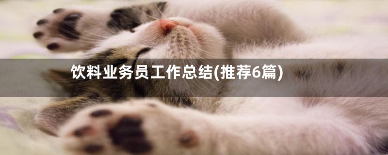 饮料业务员工作总结(推荐6篇)