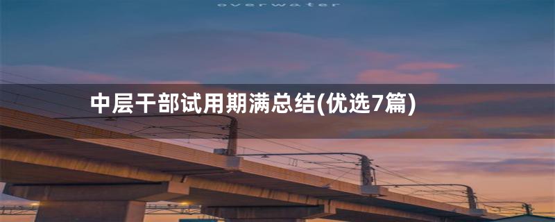 中层干部试用期满总结(优选7篇)