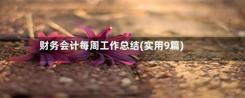 财务会计每周工作总结(实用9篇)