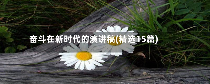 奋斗在新时代的演讲稿(精选15篇)