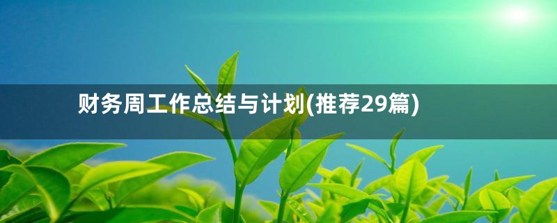 财务周工作总结与计划(推荐29篇)