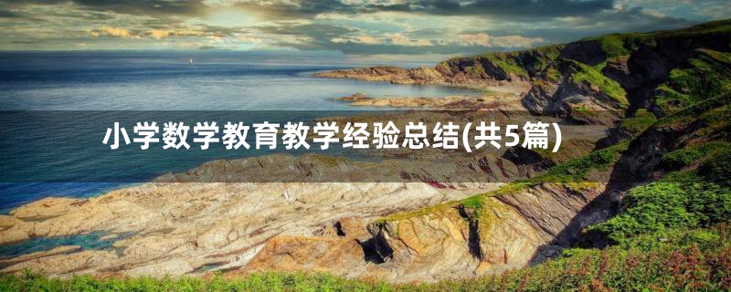小学数学教育教学经验总结(共5篇)