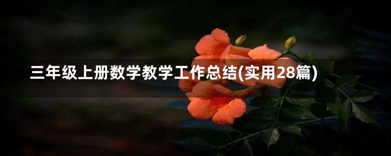 三年级上册数学教学工作总结(实用28篇)