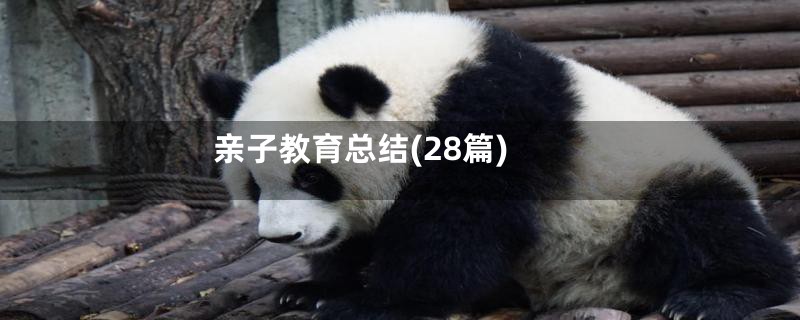 亲子教育总结(28篇)