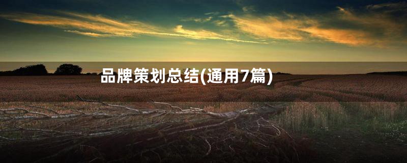 品牌策划总结(通用7篇)