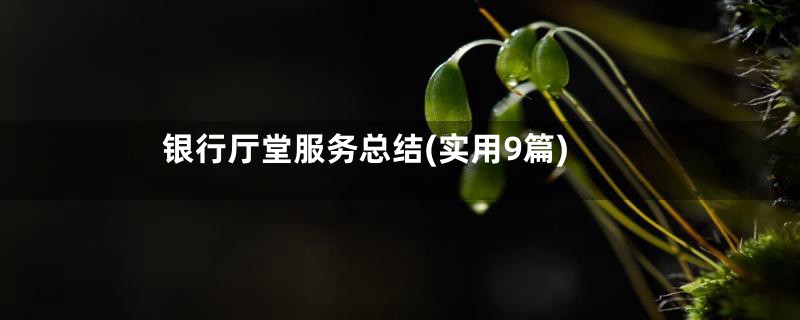 银行厅堂服务总结(实用9篇)