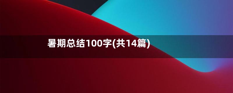 暑期总结100字(共14篇)