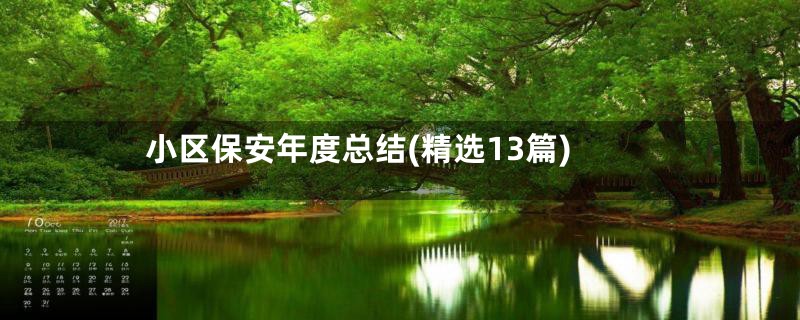 小区保安年度总结(精选13篇)