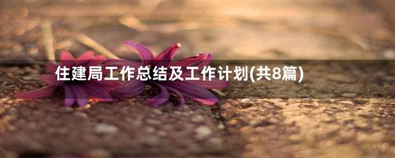 住建局工作总结及工作计划(共8篇)
