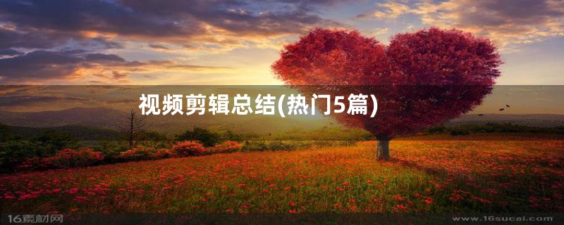 视频剪辑总结(热门5篇)