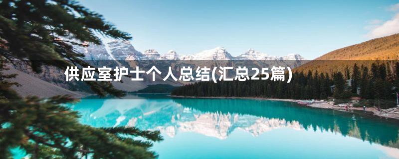供应室护士个人总结(汇总25篇)