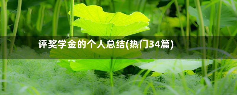 评奖学金的个人总结(热门34篇)