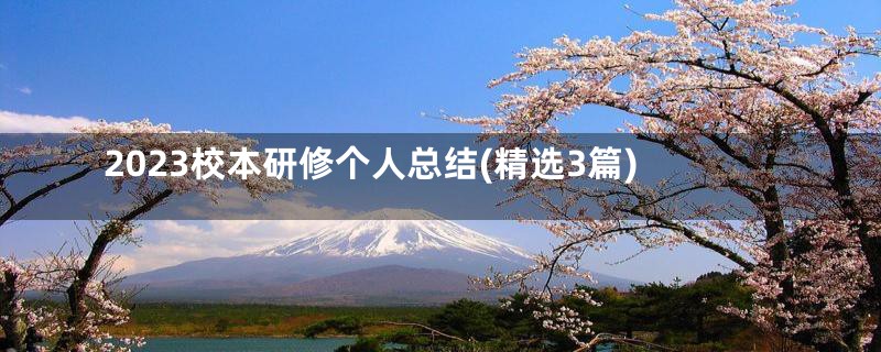 2023校本研修个人总结(精选3篇)