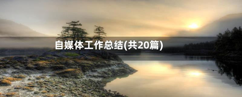 自媒体工作总结(共20篇)
