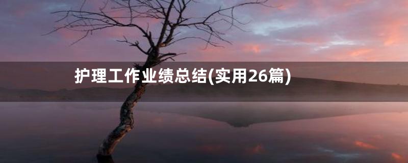 护理工作业绩总结(实用26篇)