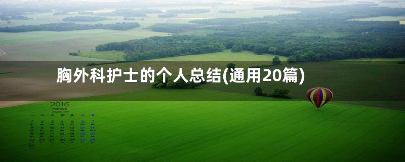 胸外科护士的个人总结(通用20篇)