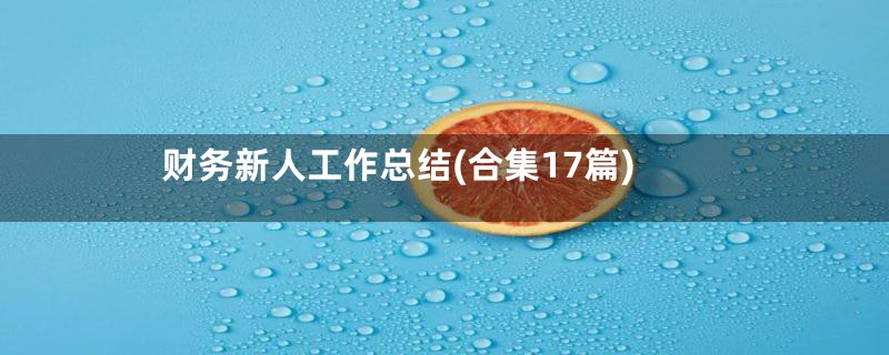 财务新人工作总结(合集17篇)