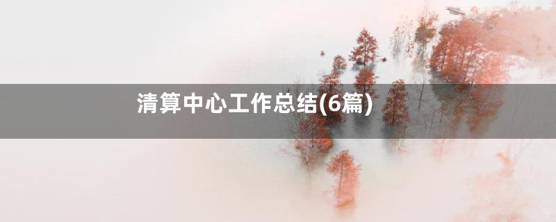 清算中心工作总结(6篇)