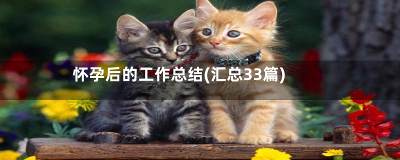 怀孕后的工作总结(汇总33篇)