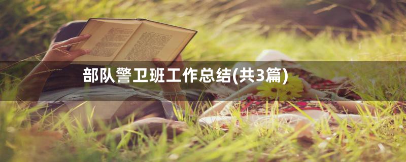 部队警卫班工作总结(共3篇)