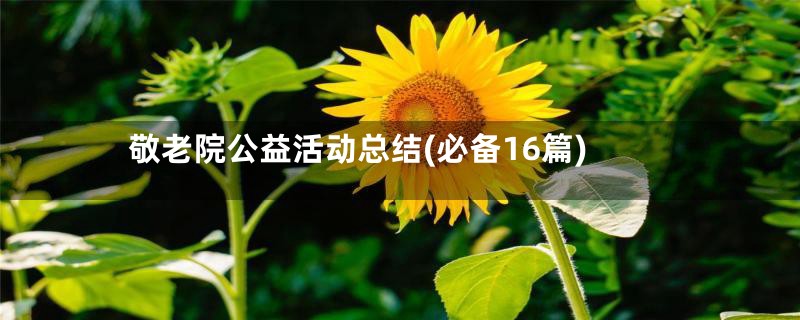 敬老院公益活动总结(必备16篇)