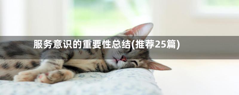 服务意识的重要性总结(推荐25篇)