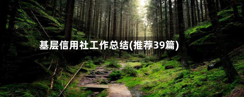 基层信用社工作总结(推荐39篇)