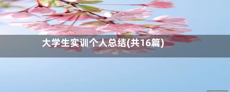 大学生实训个人总结(共16篇)