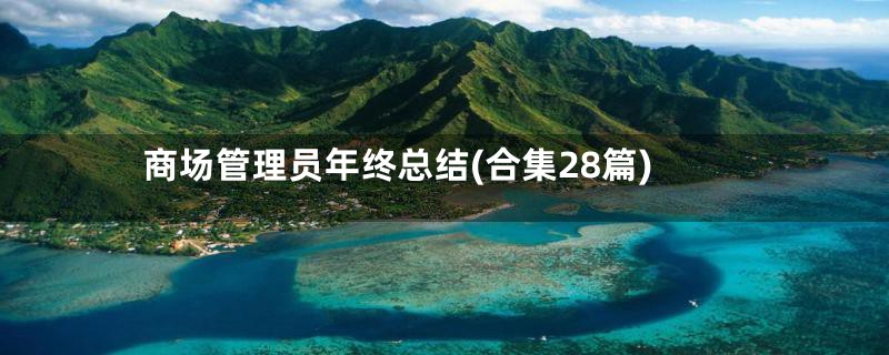 商场管理员年终总结(合集28篇)