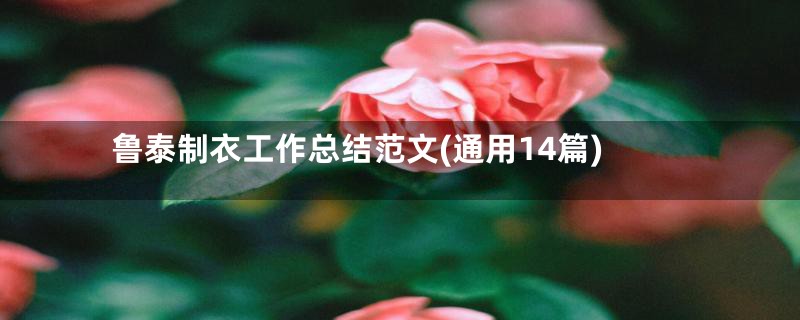 鲁泰制衣工作总结范文(通用14篇)