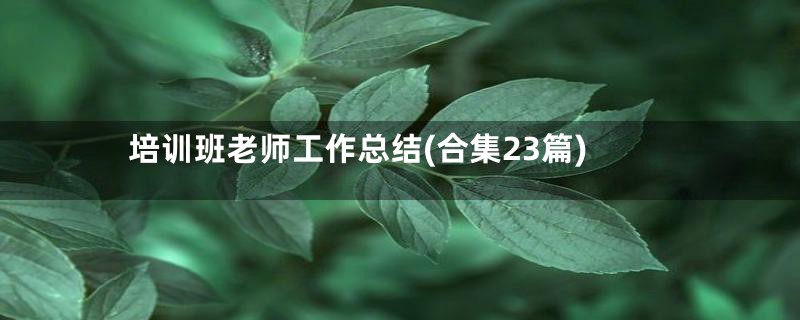 培训班老师工作总结(合集23篇)