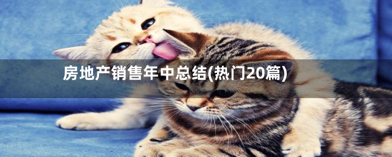 房地产销售年中总结(热门20篇)