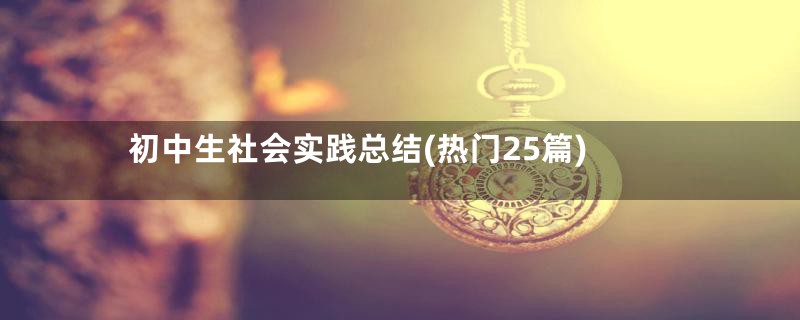 初中生社会实践总结(热门25篇)