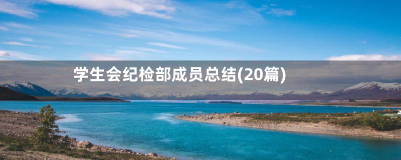 学生会纪检部成员总结(20篇)