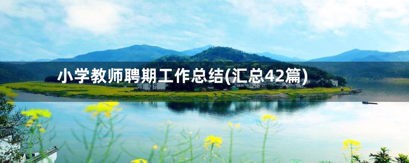 小学教师聘期工作总结(汇总42篇)