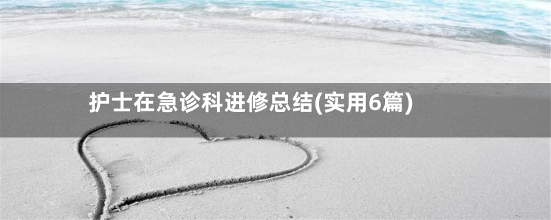 护士在急诊科进修总结(实用6篇)
