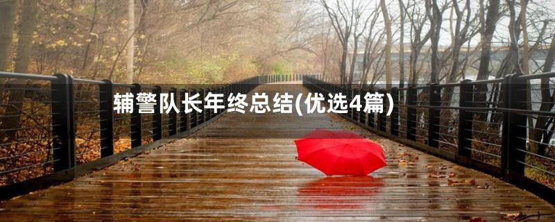 辅警队长年终总结(优选4篇)