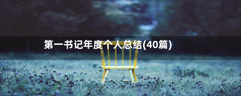 第一书记年度个人总结(40篇)