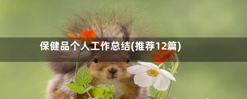 保健品个人工作总结(推荐12篇)
