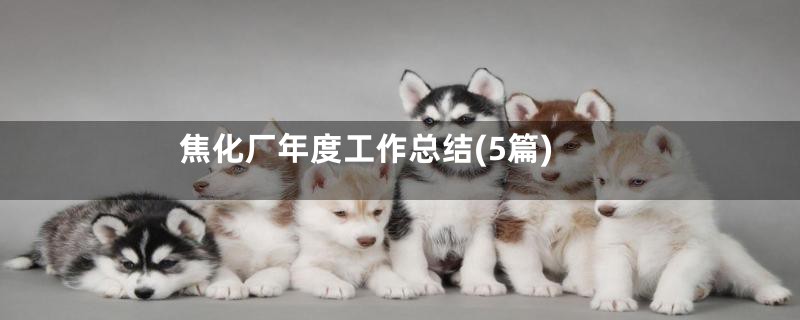 焦化厂年度工作总结(5篇)