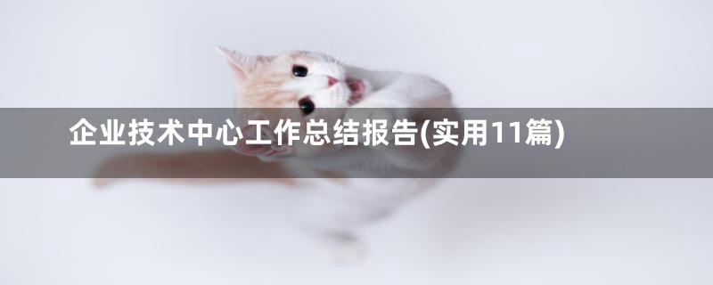 企业技术中心工作总结报告(实用11篇)