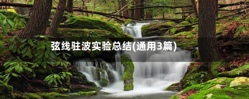 弦线驻波实验总结(通用3篇)