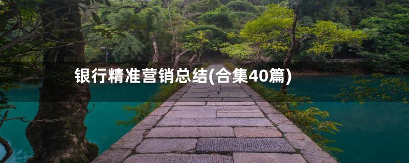 银行精准营销总结(合集40篇)