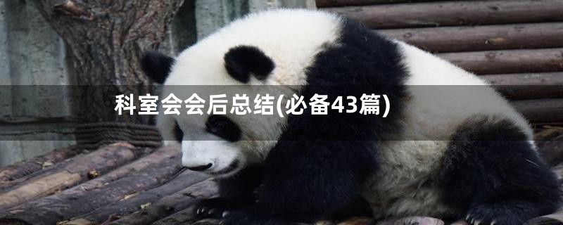 科室会会后总结(必备43篇)