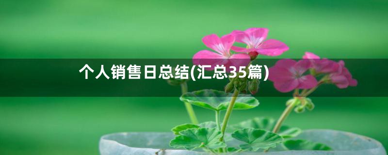 个人销售日总结(汇总35篇)