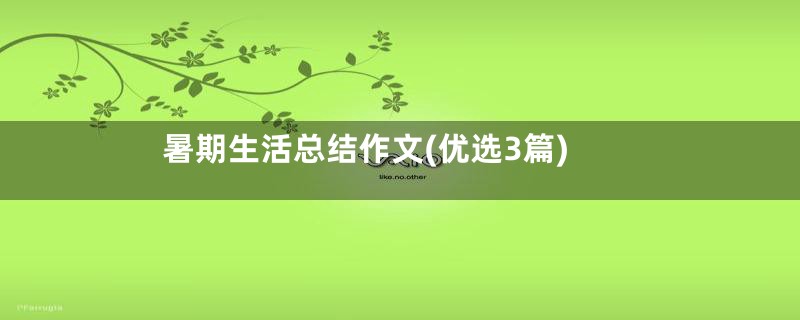 暑期生活总结作文(优选3篇)