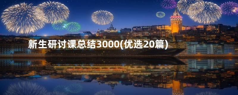 新生研讨课总结3000(优选20篇)